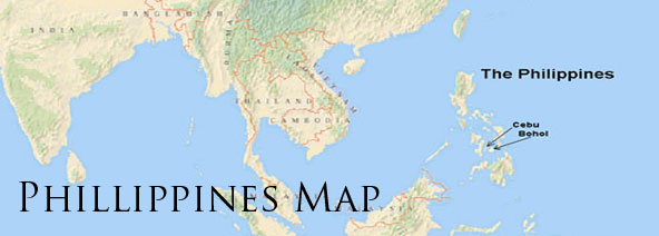 large-pic1